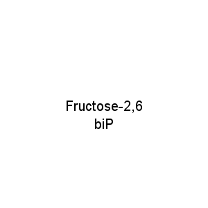 Fructose-2,6 biP